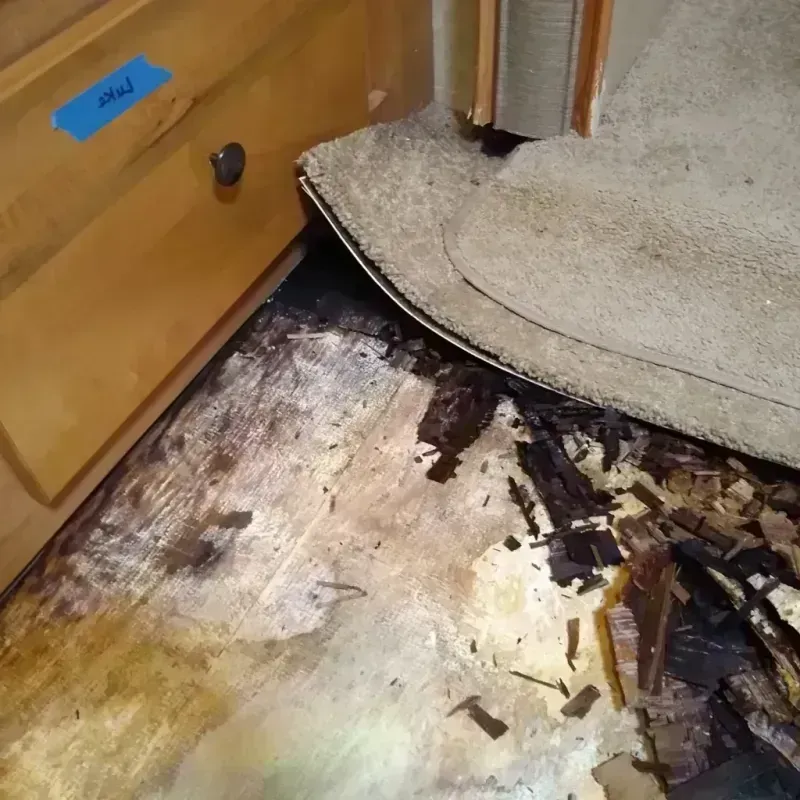 Best Wood Floor Water Damage Service in Argo, AL